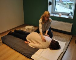 shiatsu humain